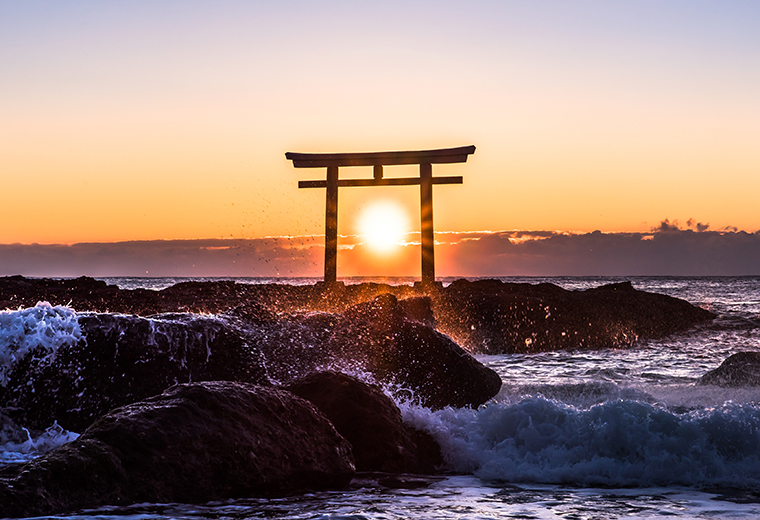 旅行代理店向け お弁当