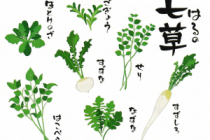 七草