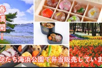 海浜公園春_サムネ